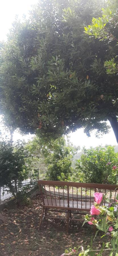 Ca Du Stea Villa Lavagna Luaran gambar