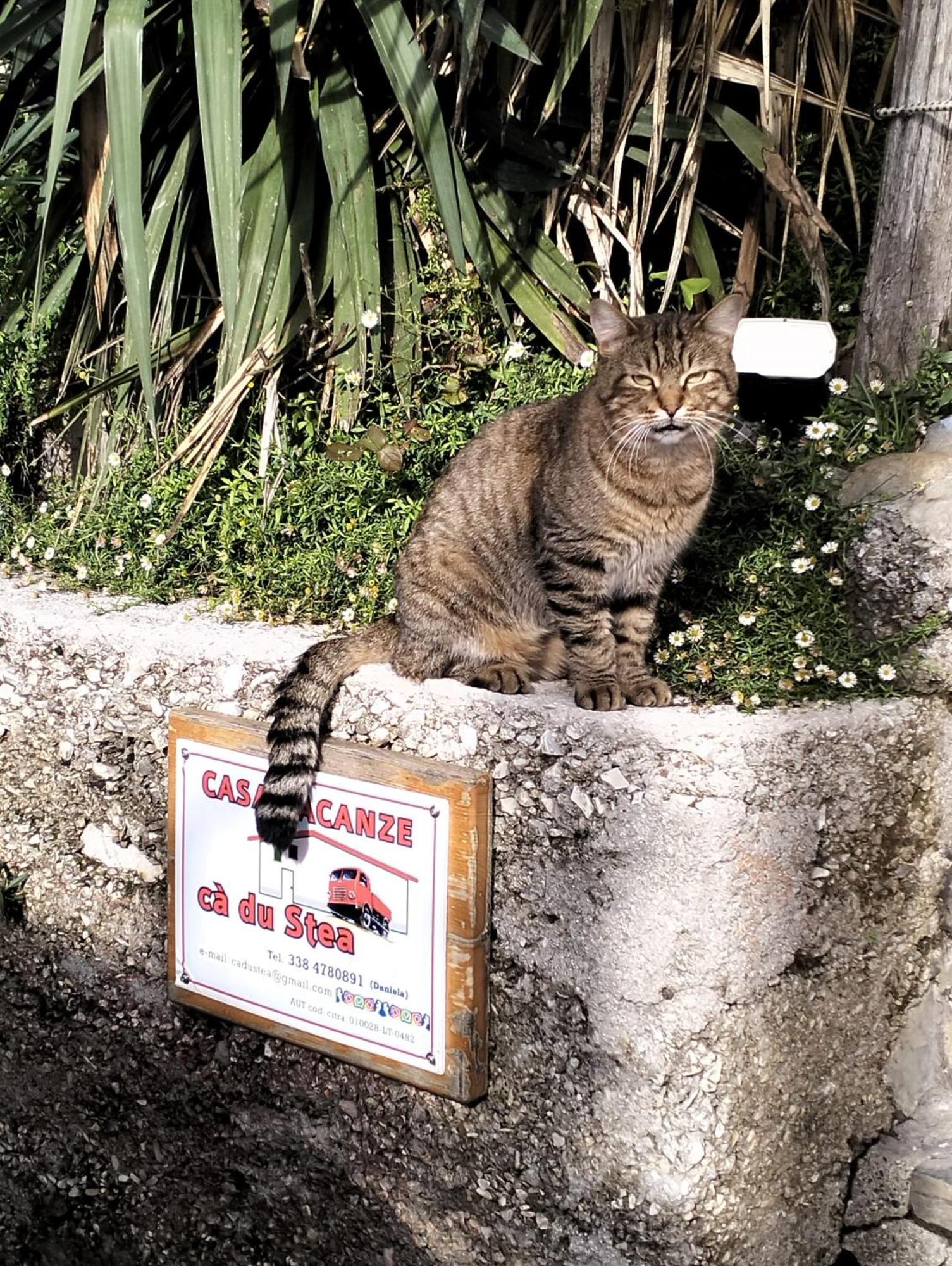 Ca Du Stea Villa Lavagna Luaran gambar