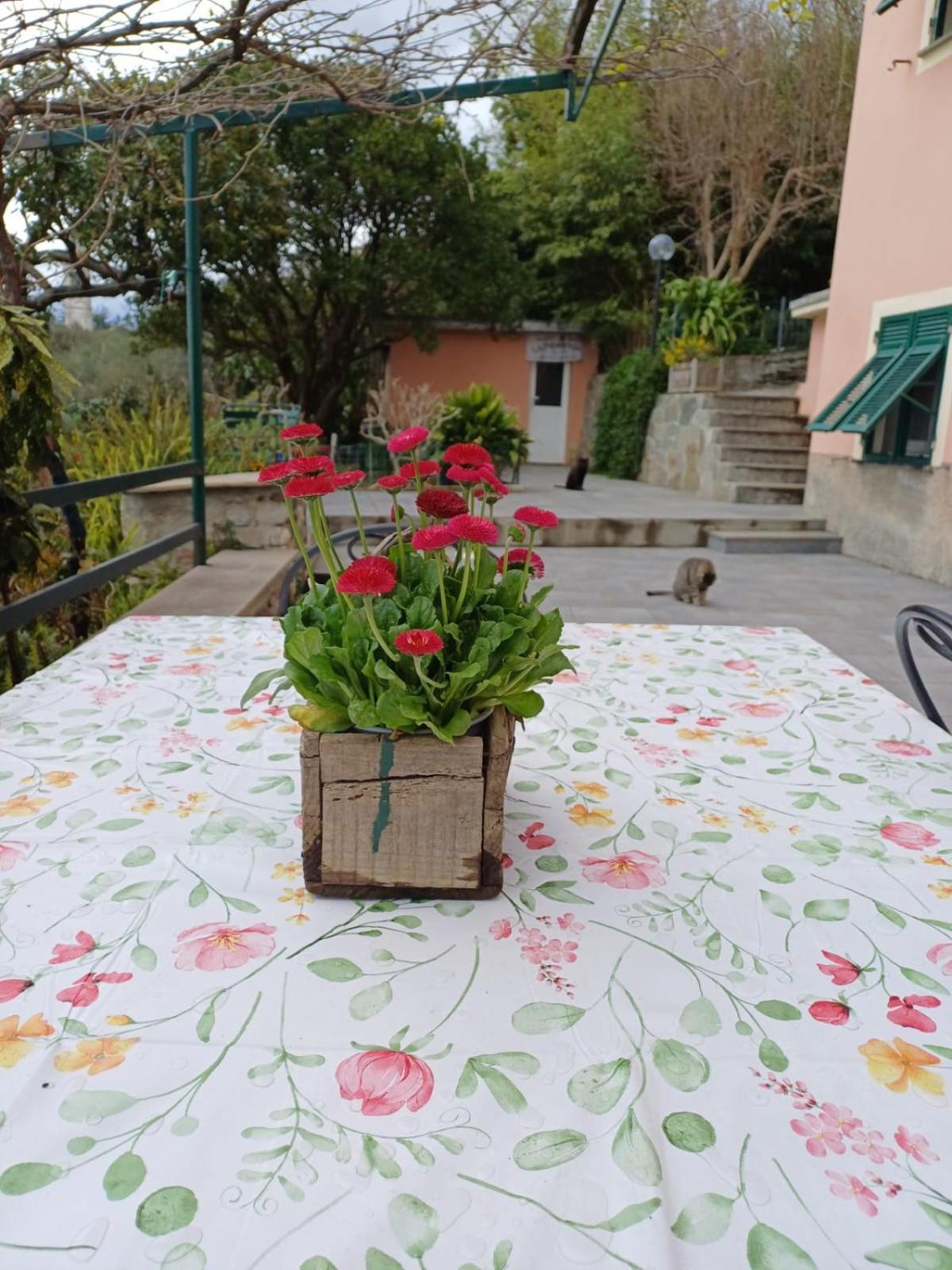 Ca Du Stea Villa Lavagna Luaran gambar